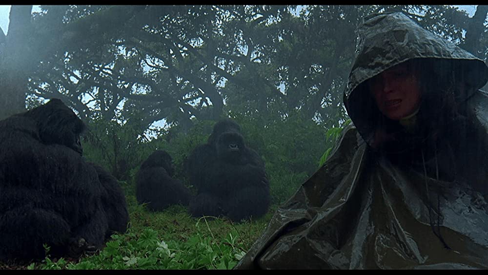 愛は霧のかなたにの画像