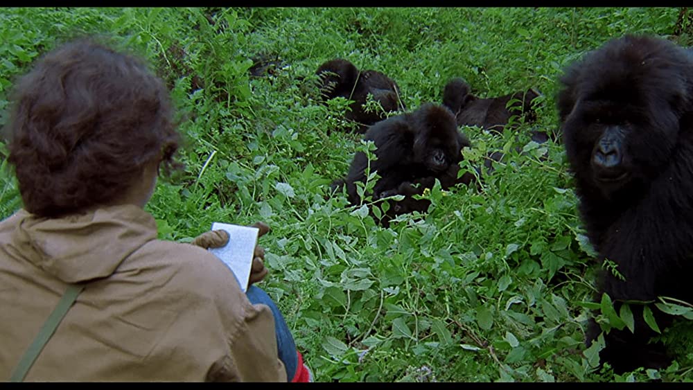 愛は霧のかなたにの画像