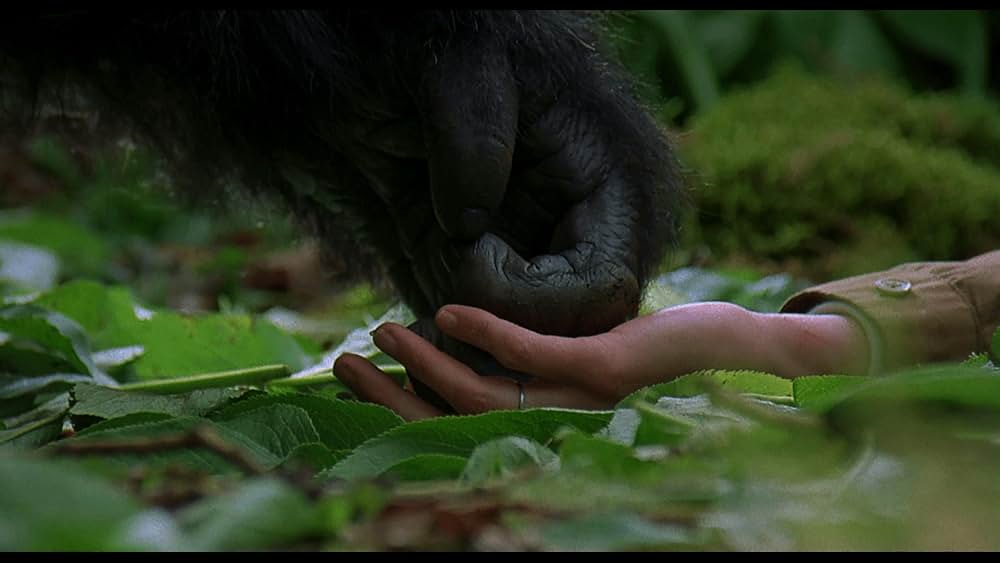 愛は霧のかなたにの画像