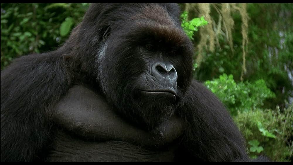 愛は霧のかなたにの画像