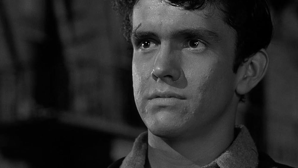 殺人地帯U・S・Aの画像