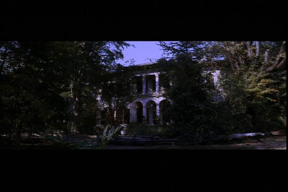 グリーン・ベレーの画像