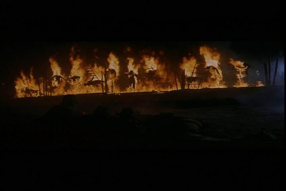 グリーン・ベレーの画像