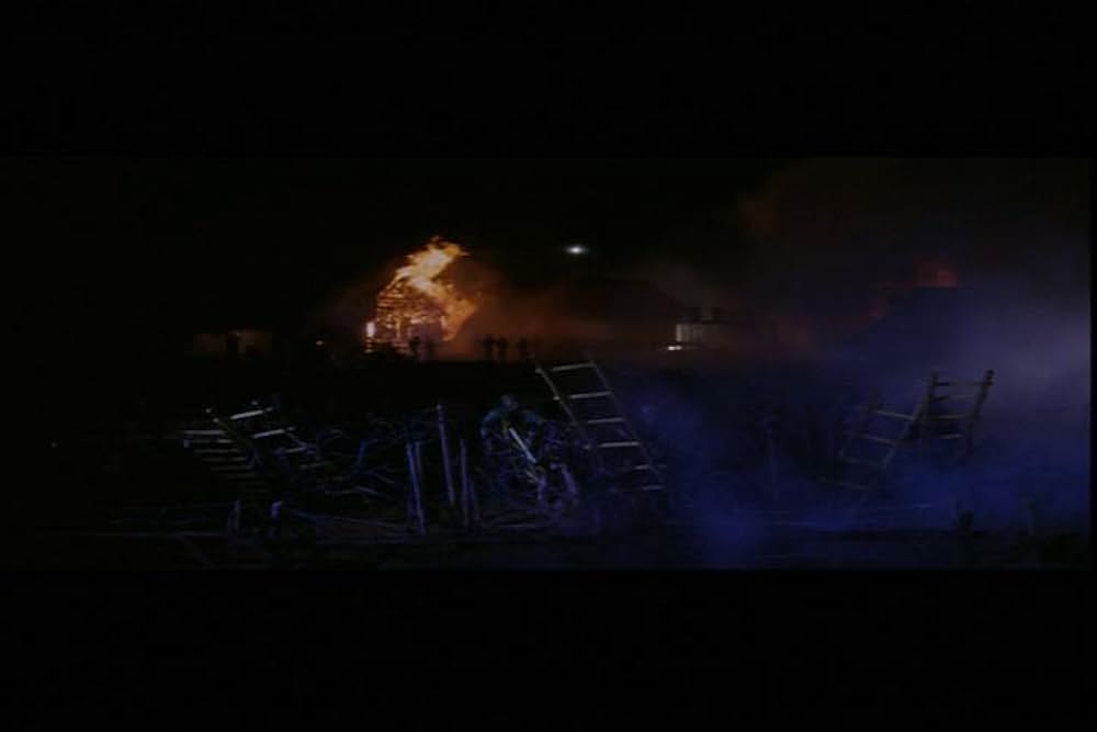 グリーン・ベレーの画像