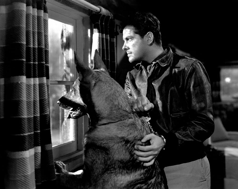 「逃走迷路」ロバート・カミングスの画像