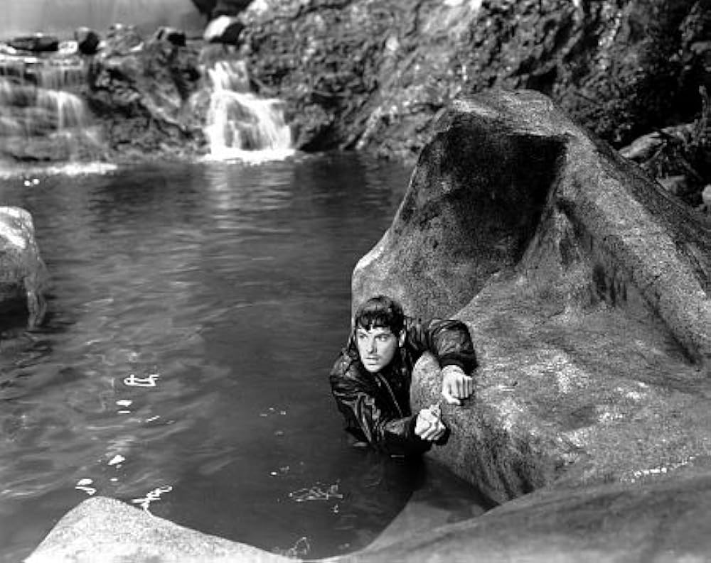 「逃走迷路」ロバート・カミングスの画像