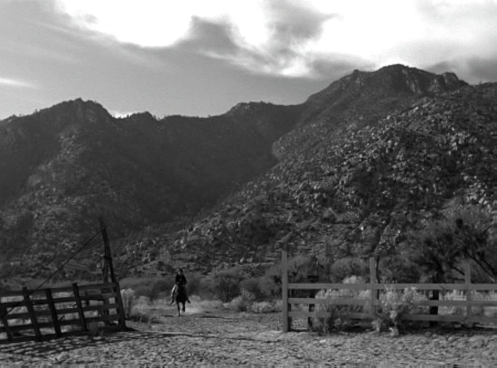 逃走迷路の画像