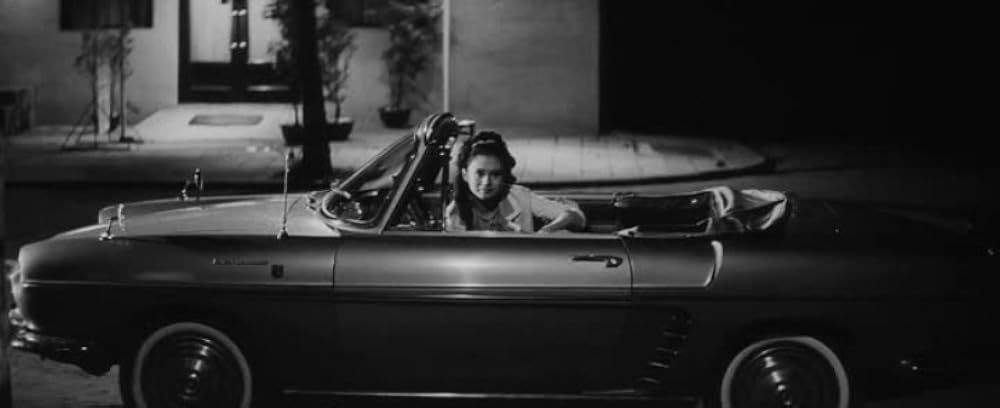 乾いた花の画像