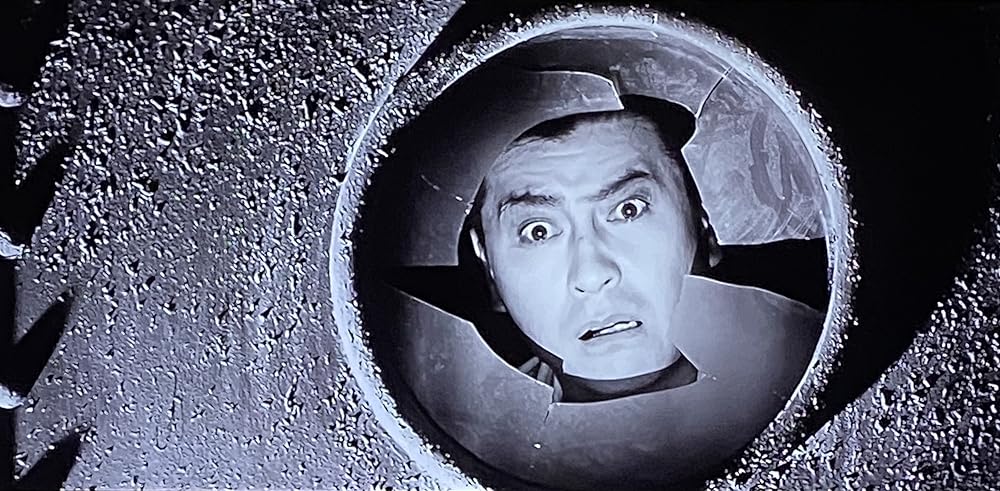 乾いた花の画像