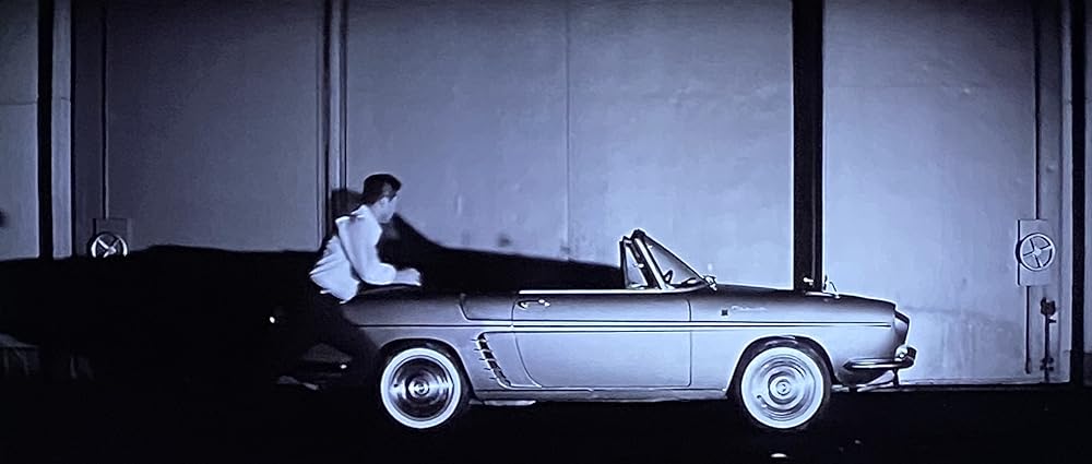 乾いた花の画像