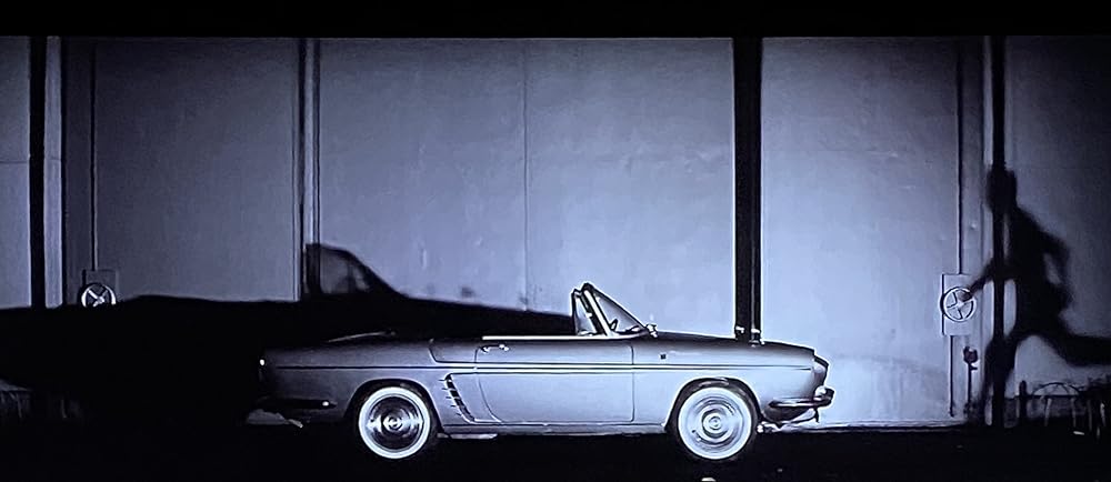 乾いた花の画像