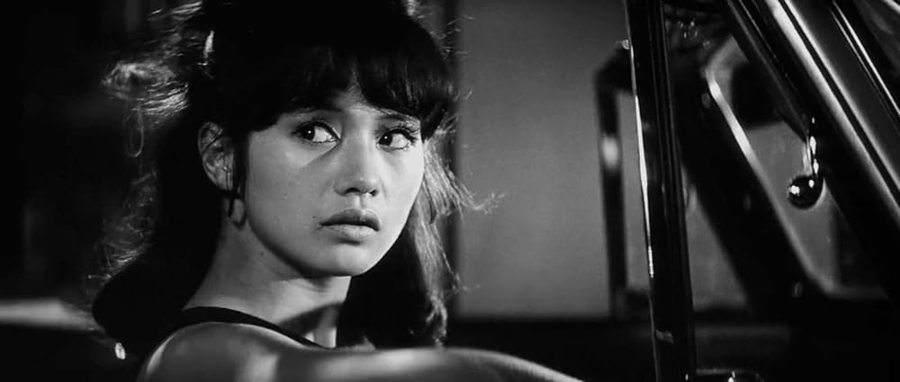 乾いた花の画像