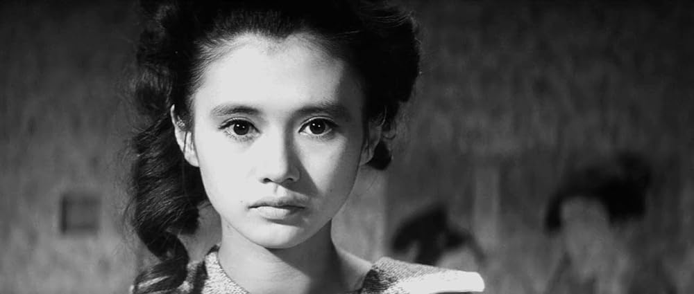 乾いた花の画像