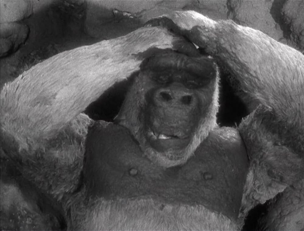 コングの復讐の画像