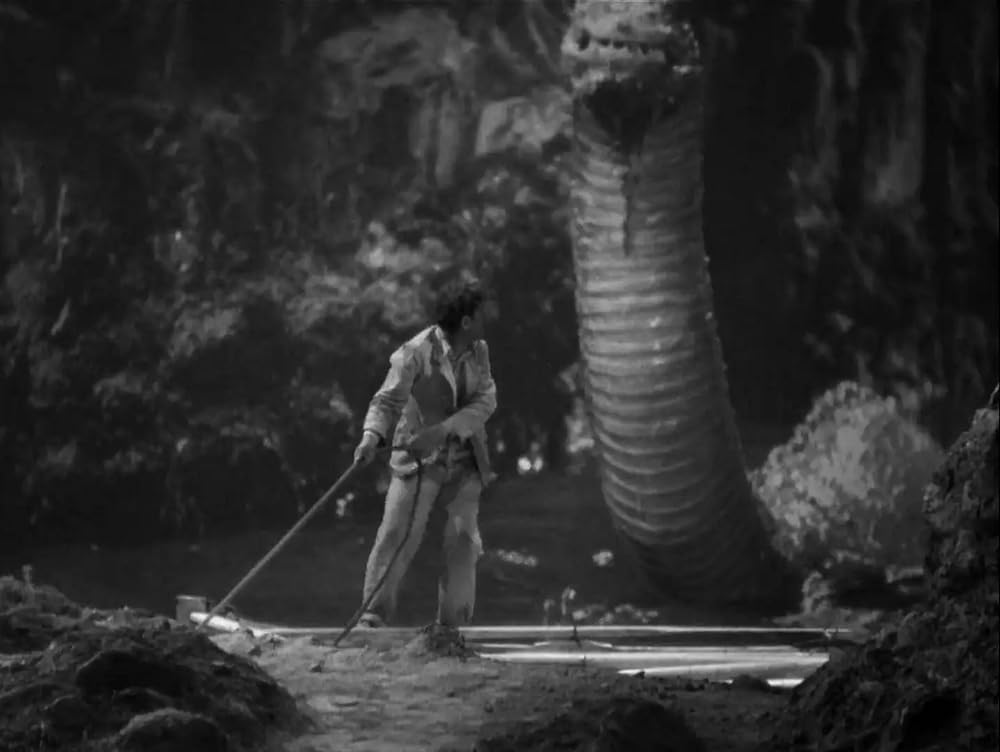 コングの復讐の画像