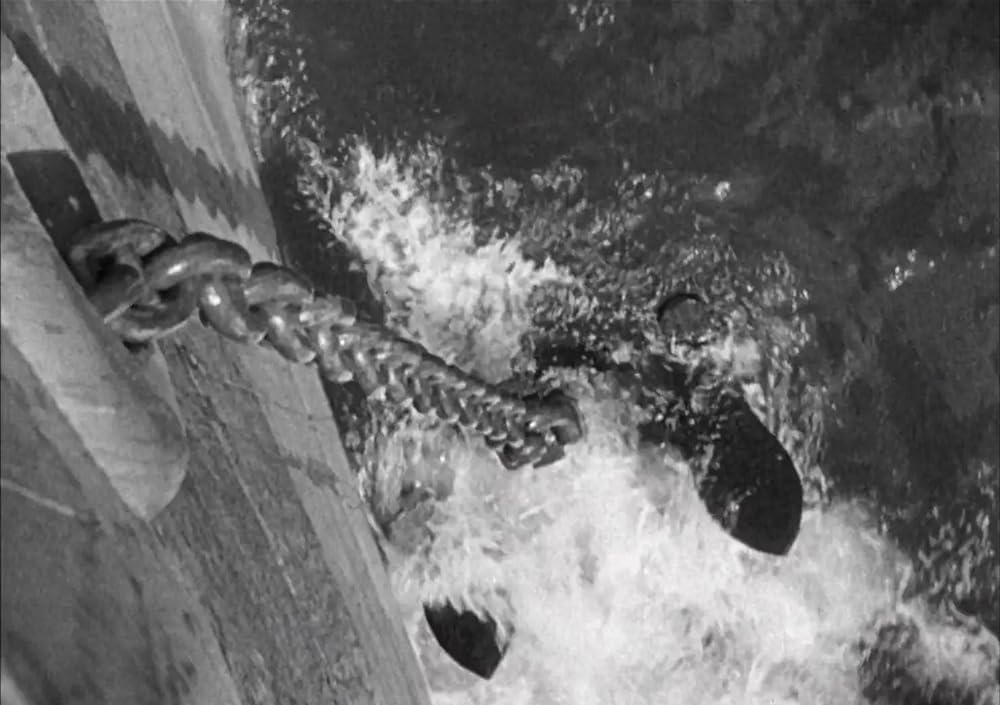 コングの復讐の画像