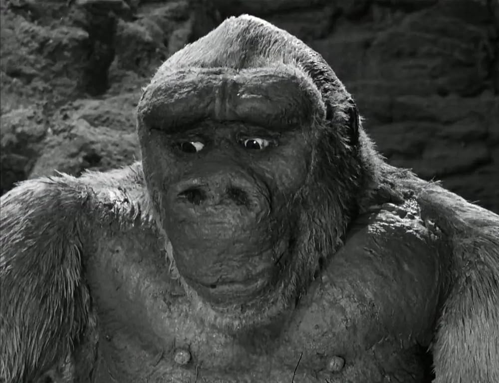 コングの復讐の画像