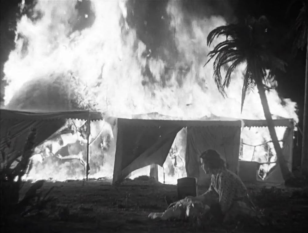 コングの復讐の画像