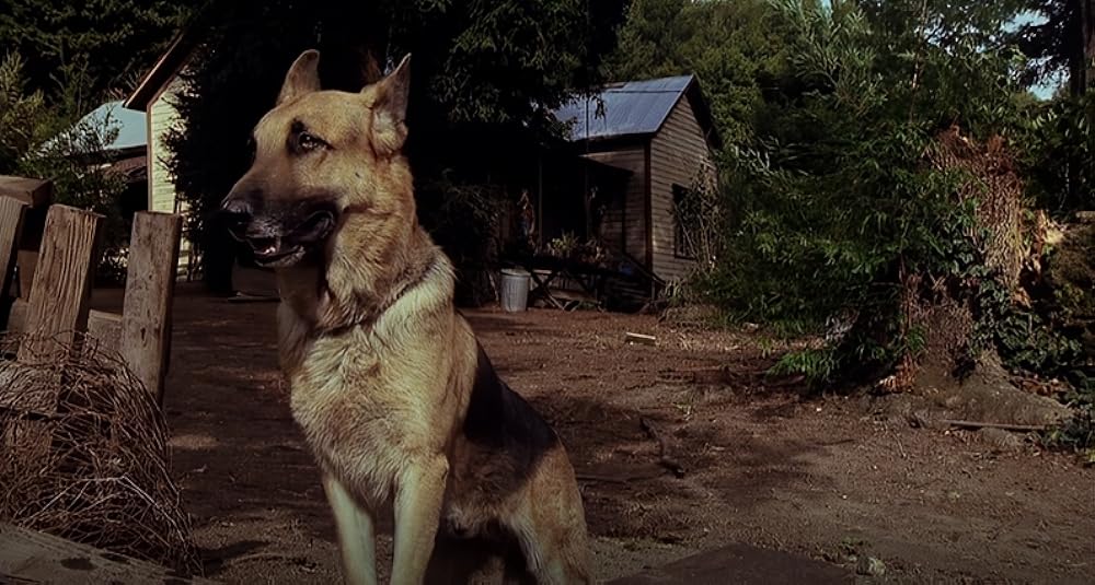 怒りの群れの画像