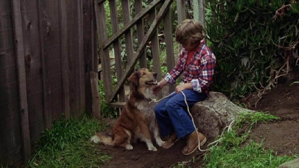 怒りの群れの画像