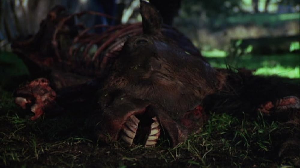 怒りの群れの画像