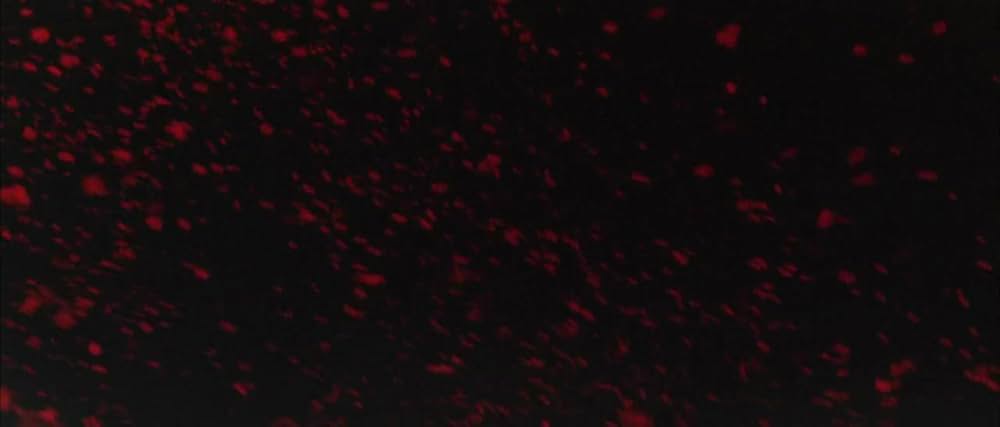 修羅雪姫 怨み恋歌の画像