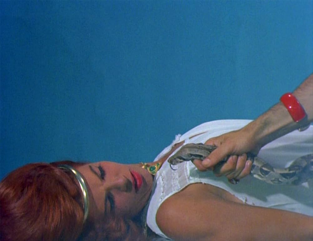 血の祝祭日の画像