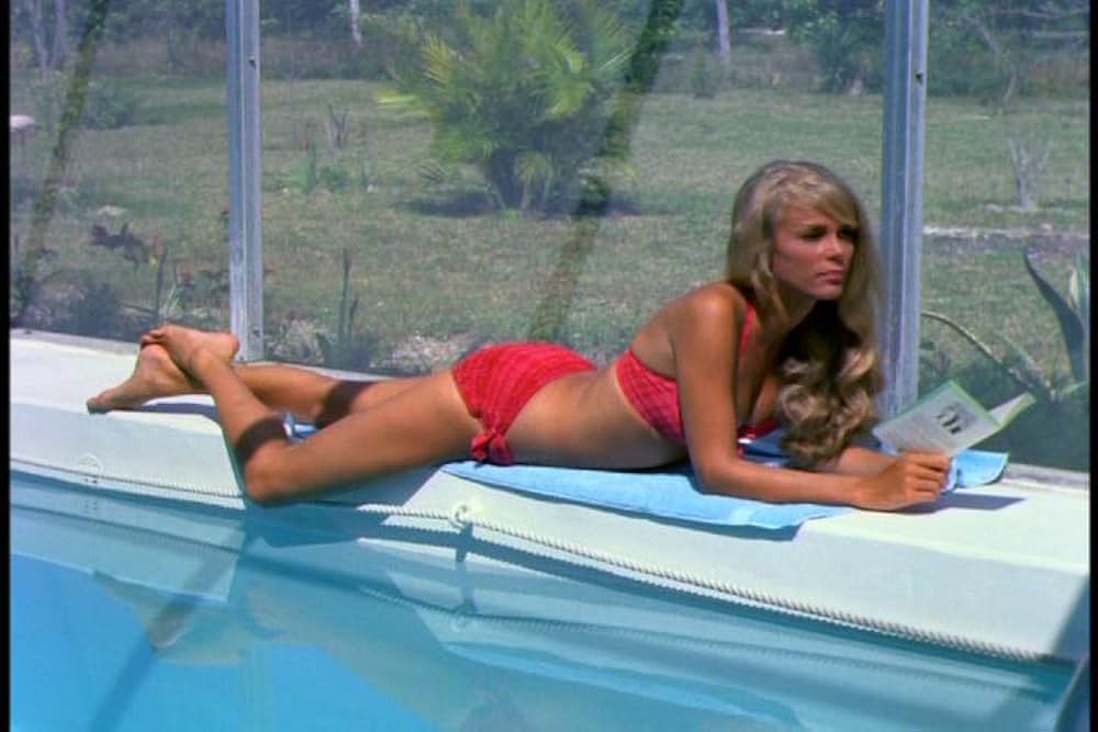 血の祝祭日の画像