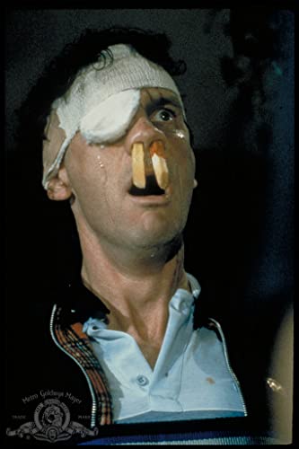 ワンダとダイヤと優しい奴らの画像