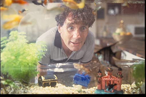 ワンダとダイヤと優しい奴らの画像