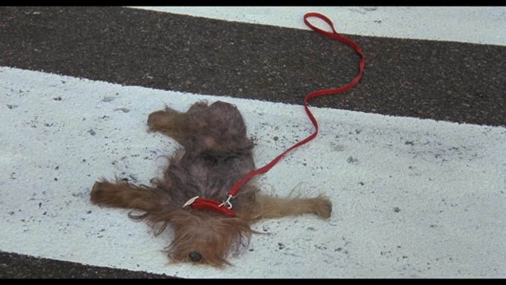 ワンダとダイヤと優しい奴らの画像