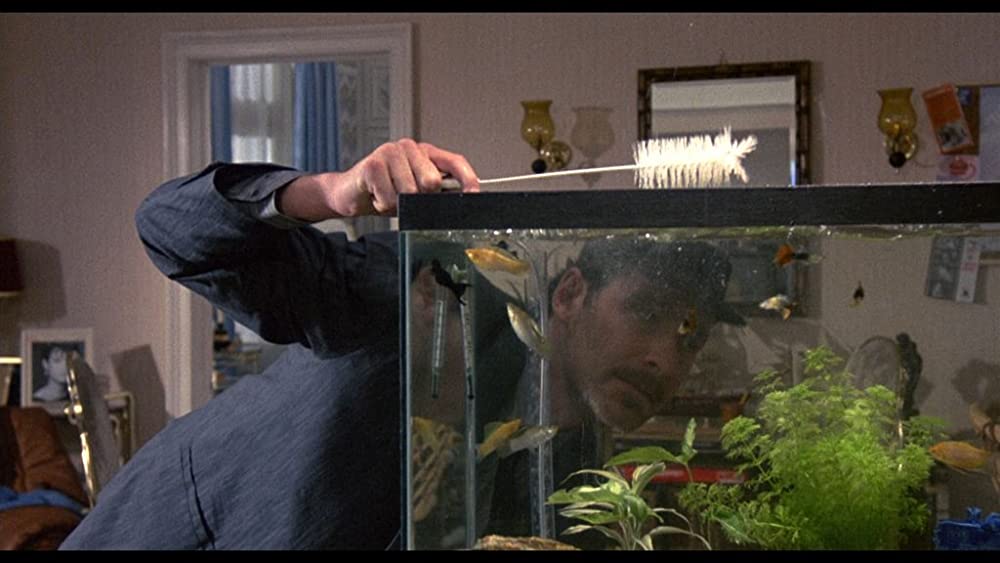 ワンダとダイヤと優しい奴らの画像