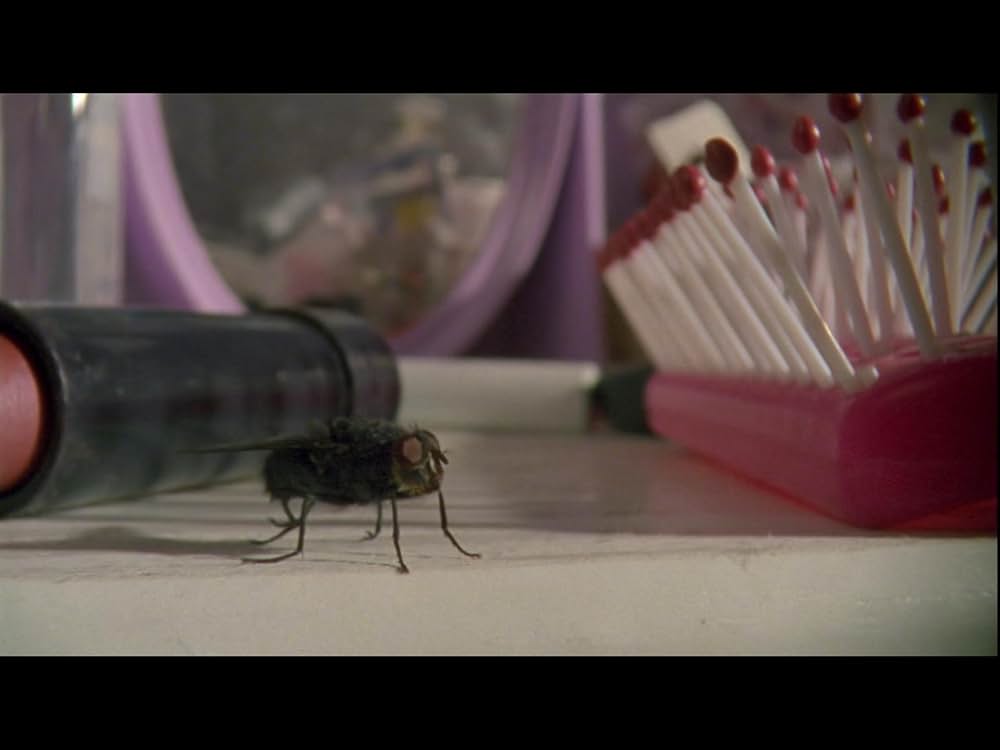 アシッド・ハウスの画像