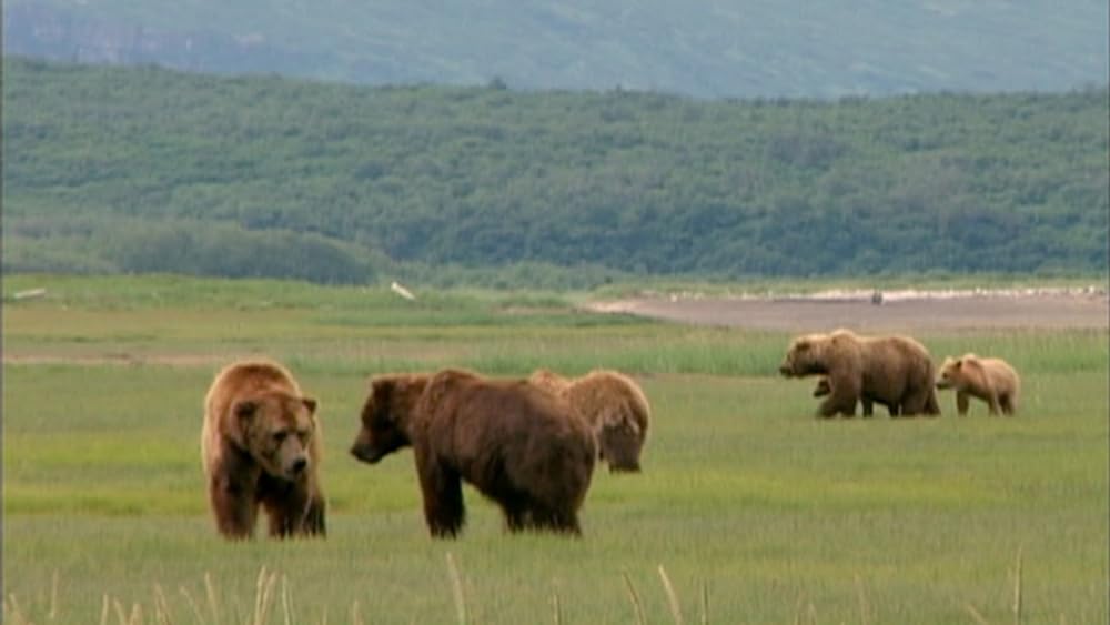 グリズリーマンの画像