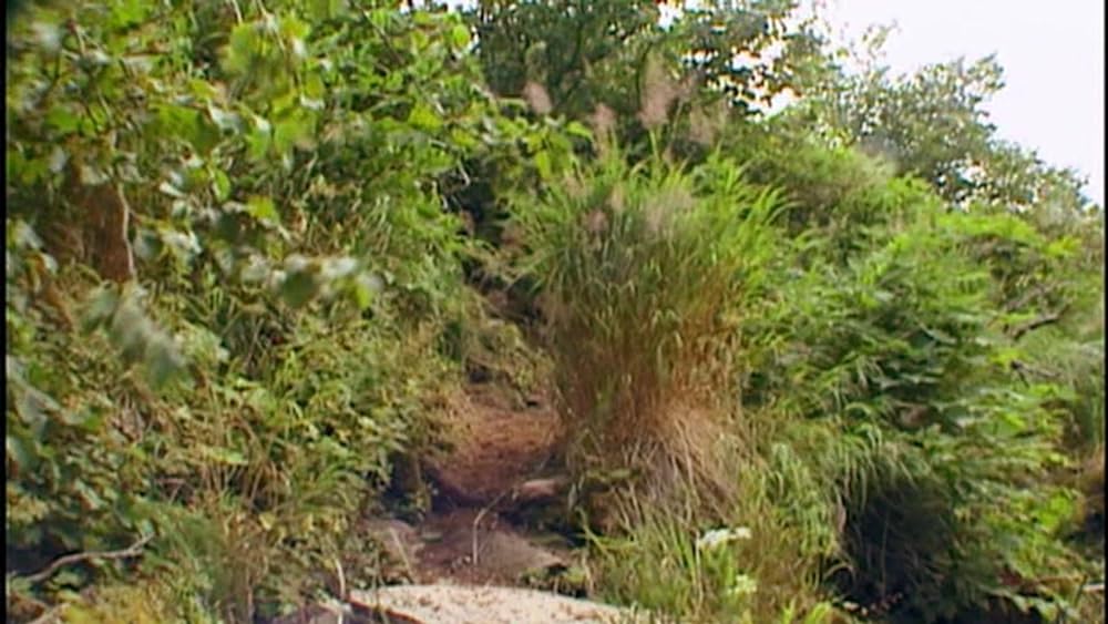 グリズリーマンの画像