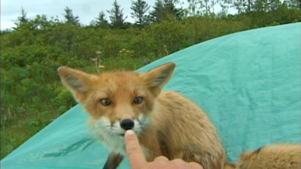 グリズリーマンの画像