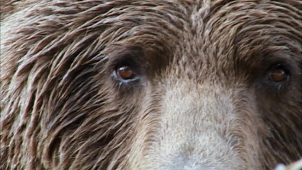 グリズリーマンの画像