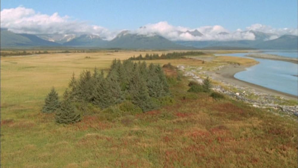 グリズリーマンの画像