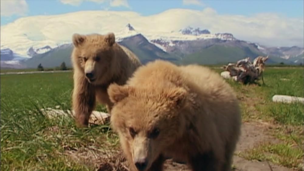 グリズリーマンの画像