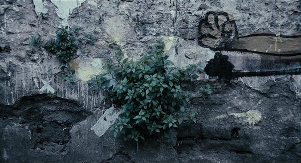 ブエノスアイレス恋愛事情の画像