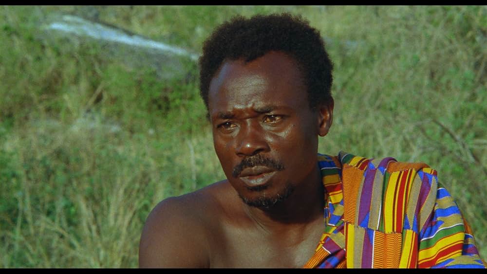 コブラ・ヴェルデの画像