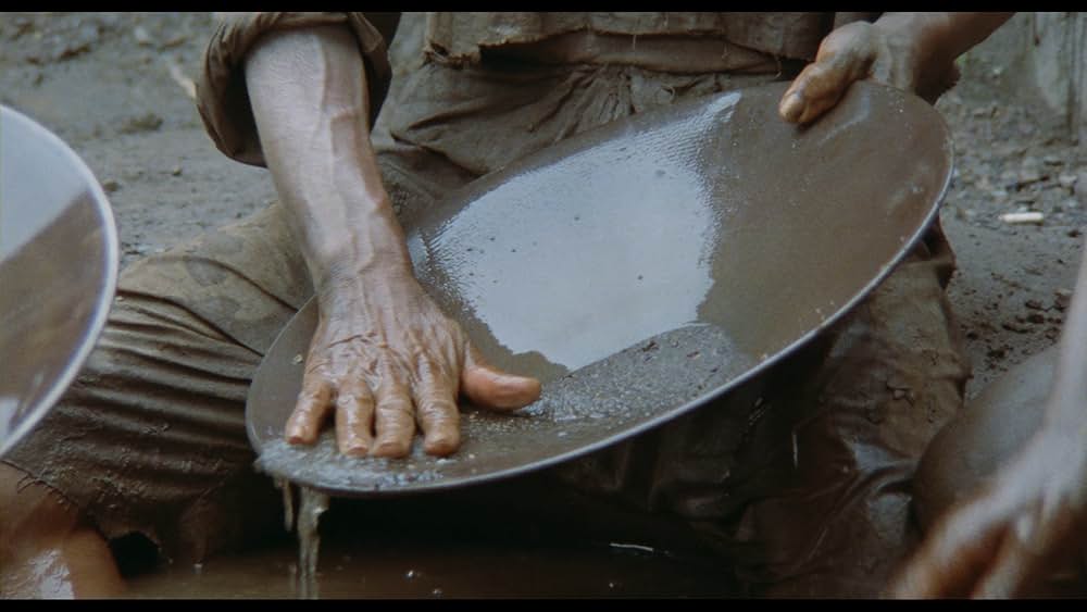 コブラ・ヴェルデの画像