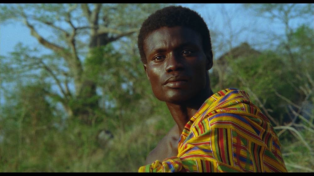 コブラ・ヴェルデの画像