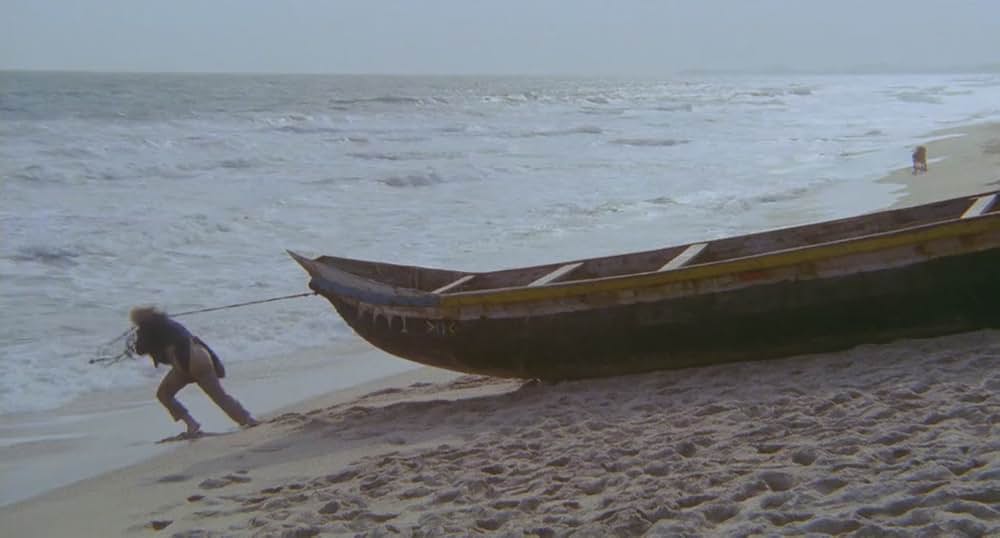 コブラ・ヴェルデの画像