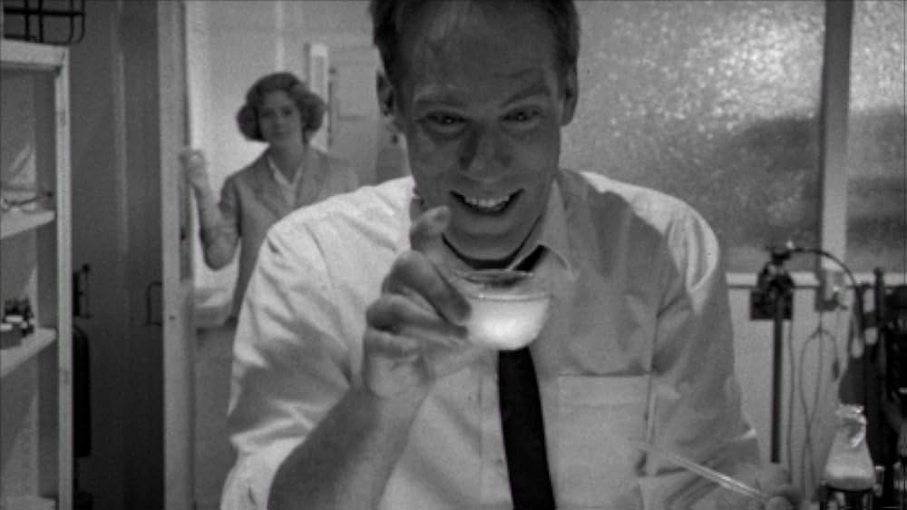 ポイズンの画像