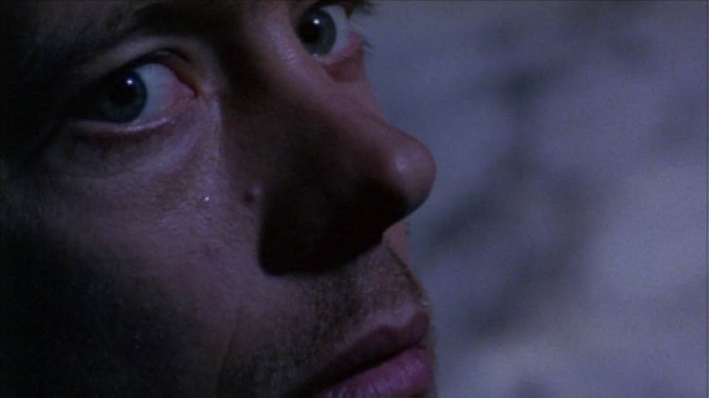 ポイズンの画像