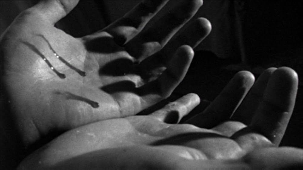 ポイズンの画像