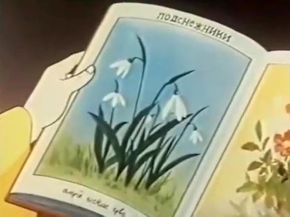 世界名作童話 森は生きているの画像