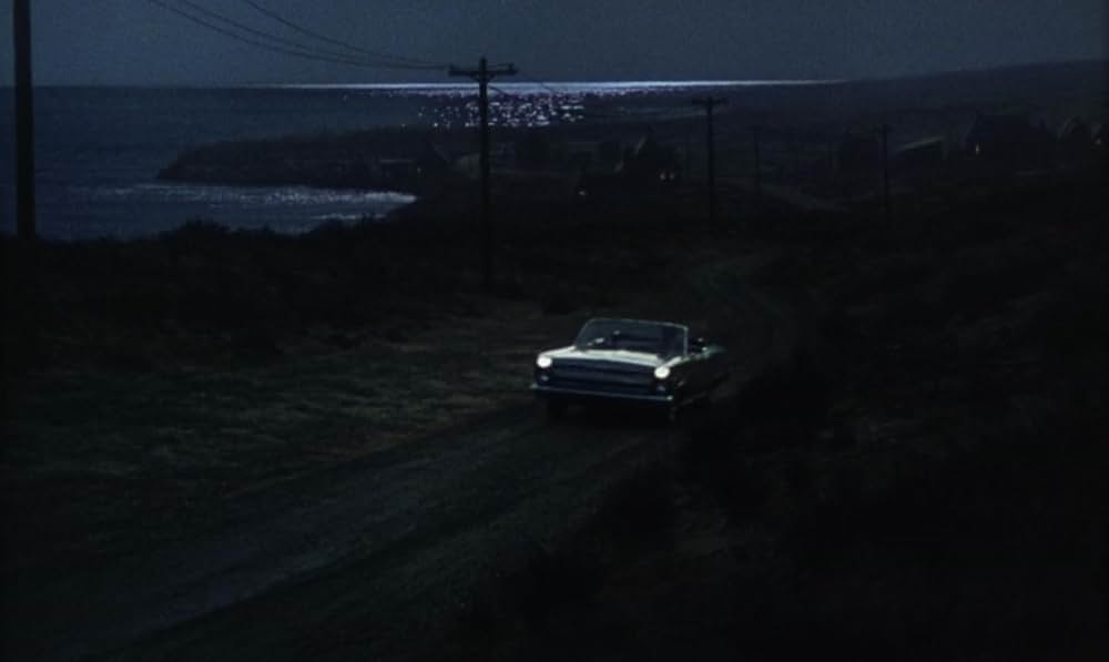 黒ひげ大旋風の画像