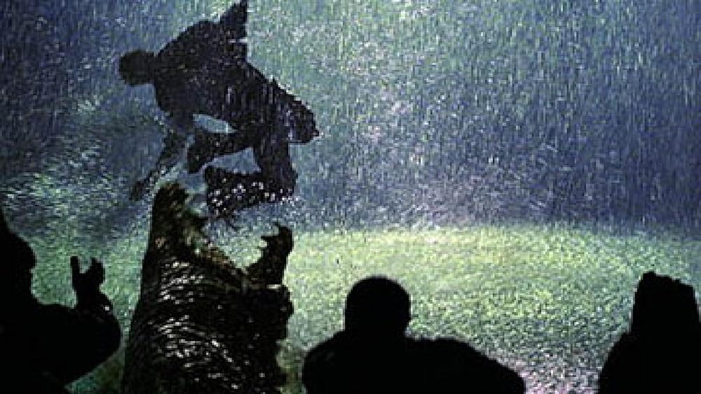 カニング・キラー 殺戮の沼の画像